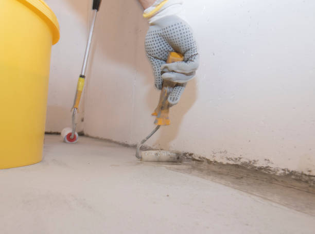 Best Pest Prevention Services  in Vevay, IN